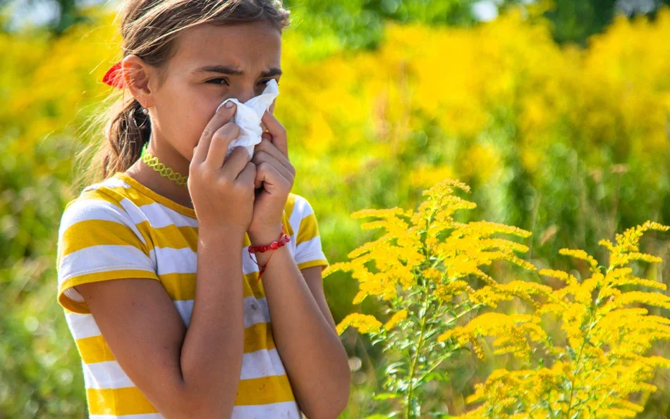 Ein Mädchen auf einer Wiese putzt sich die Nase