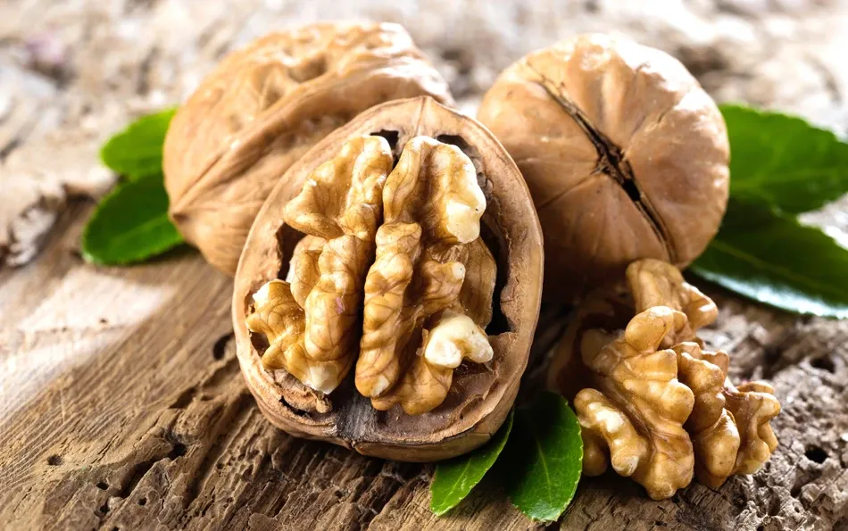 Typische Kreuzallergie Auslöser Walnüsse Walnüsse in Großaufnahme