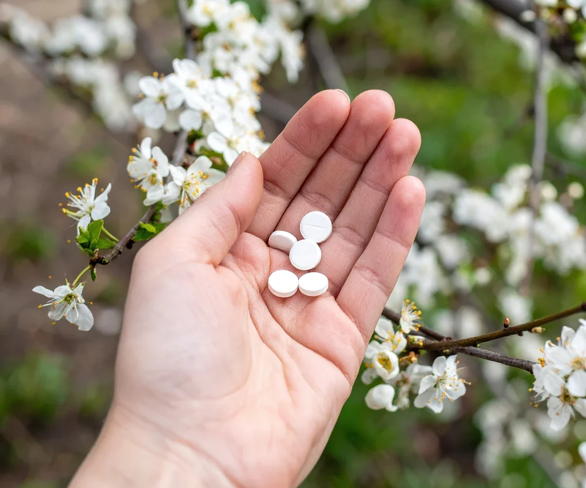 Tabletten in einer linken Handfläche